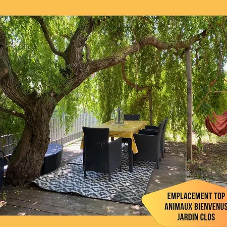 Maison Le Vignoble Avec Jardin - 6 Personnes Feriehus Ribeauvillé